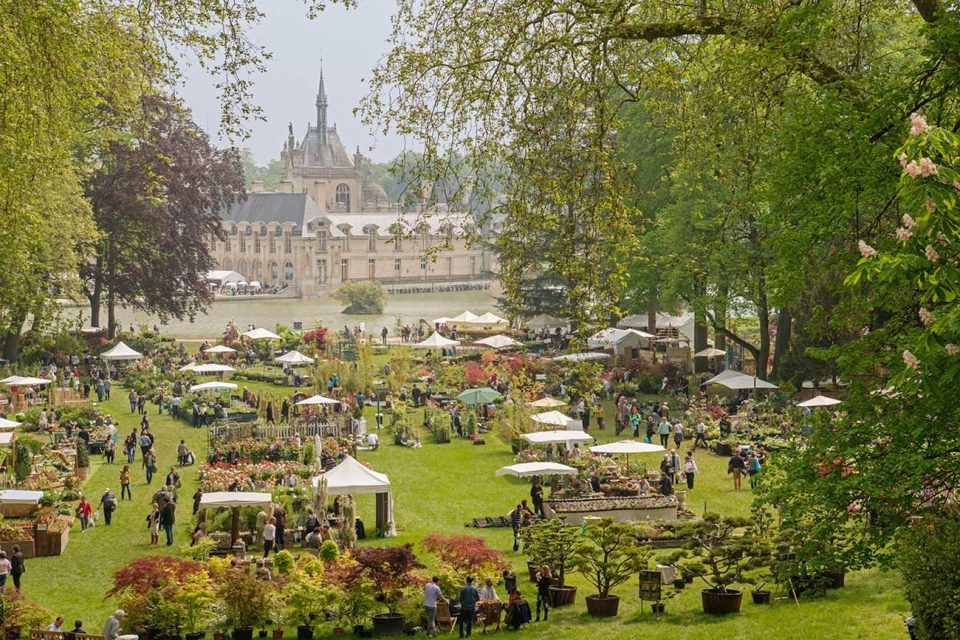 Journées des plantes